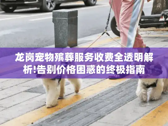 龙岗宠物殡葬服务收费全透明解析!告别价格困惑的终极指南