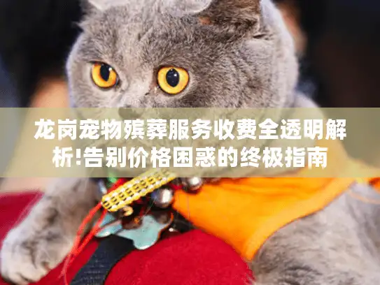 龙岗宠物殡葬服务收费全透明解析!告别价格困惑的终极指南