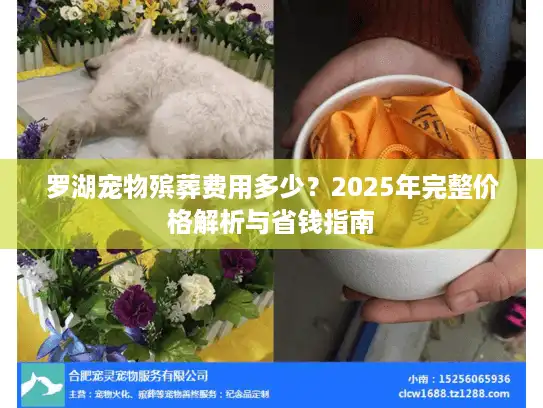 罗湖宠物殡葬费用多少？2025年完整价格解析与省钱指南