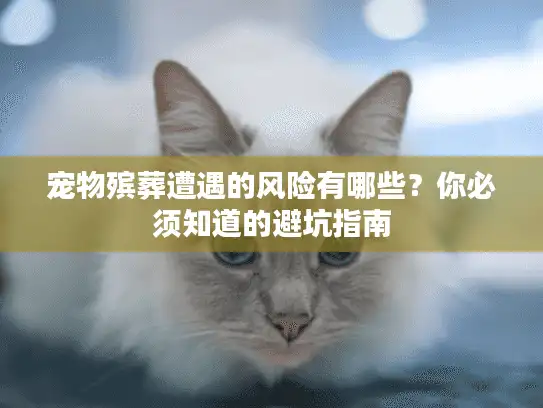 宠物殡葬遭遇的风险有哪些？你必须知道的避坑指南