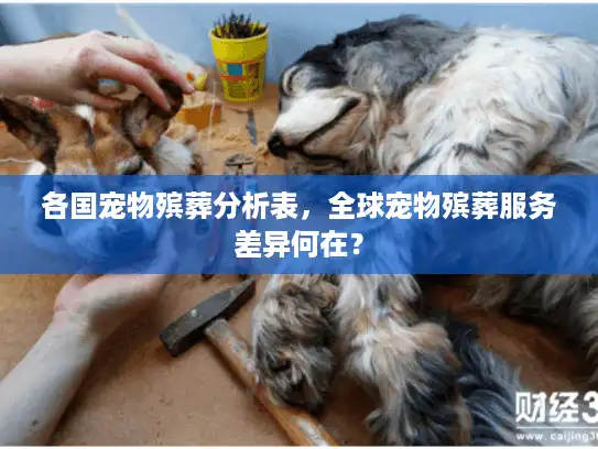 各国宠物殡葬分析表，全球宠物殡葬服务差异何在？