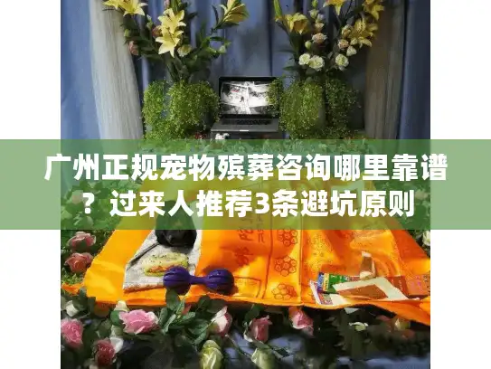 广州正规宠物殡葬咨询哪里靠谱？过来人推荐3条避坑原则