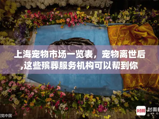上海宠物市场一览表，宠物离世后,这些殡葬服务机构可以帮到你