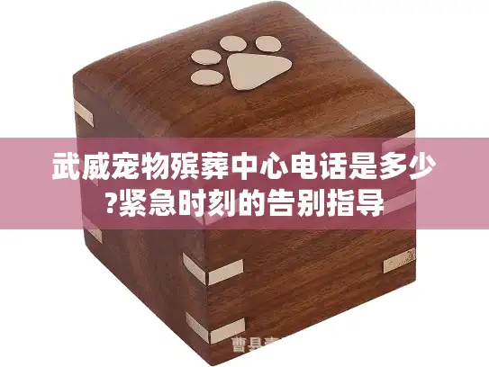 武威宠物殡葬中心电话是多少?紧急时刻的告别指导
