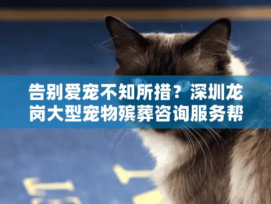 告别爱宠不知所措？深圳龙岗大型宠物殡葬咨询服务帮您走出悲伤