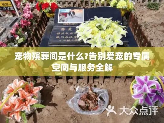 宠物殡葬间是什么?告别爱宠的专属空间与服务全解