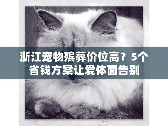 浙江宠物殡葬价位高？5个省钱方案让爱体面告别