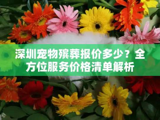 深圳宠物殡葬报价多少？全方位服务价格清单解析