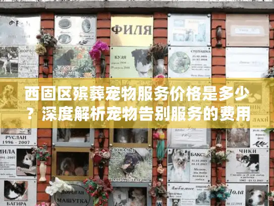西固区殡葬宠物服务价格是多少？深度解析宠物告别服务的费用构成