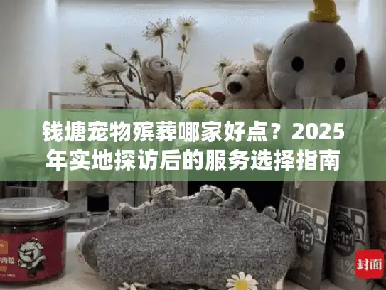 钱塘宠物殡葬哪家好点？2025年实地探访后的服务选择指南