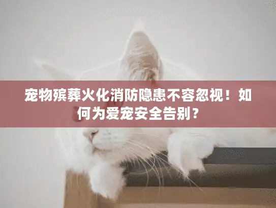 宠物殡葬火化消防隐患不容忽视！如何为爱宠安全告别？