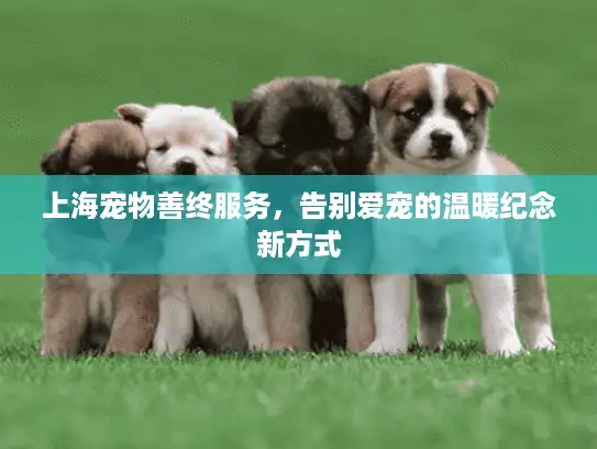 上海宠物善终服务，告别爱宠的温暖纪念新方式