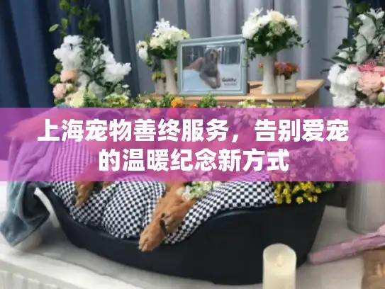 上海宠物善终服务，告别爱宠的温暖纪念新方式