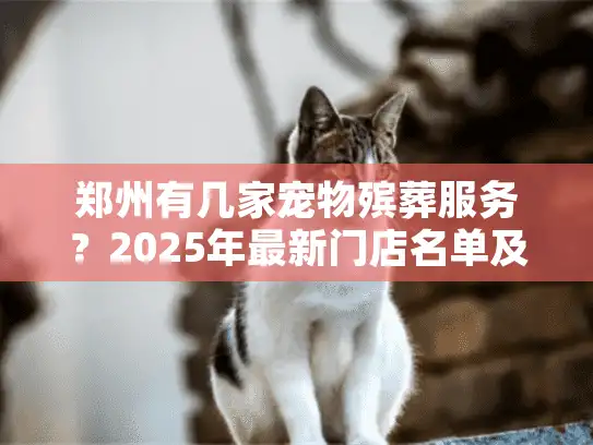 郑州有几家宠物殡葬服务？2025年最新门店名单及避坑指南