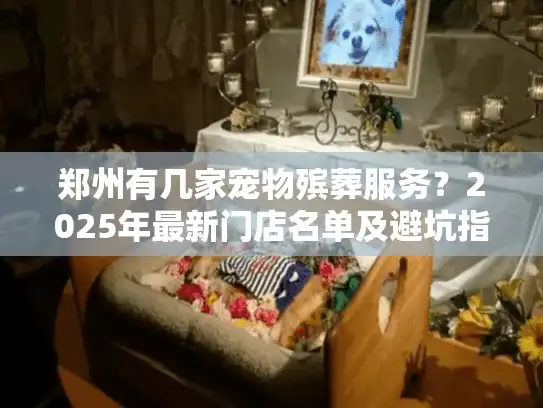 郑州有几家宠物殡葬服务？2025年最新门店名单及避坑指南
