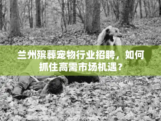 兰州殡葬宠物行业招聘，如何抓住高需市场机遇？