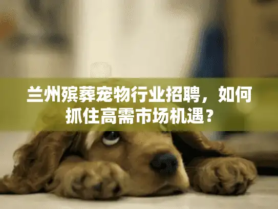 兰州殡葬宠物行业招聘，如何抓住高需市场机遇？