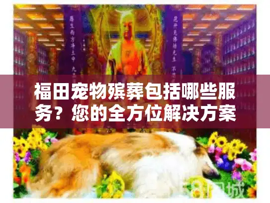 福田宠物殡葬包括哪些服务？您的全方位解决方案指南