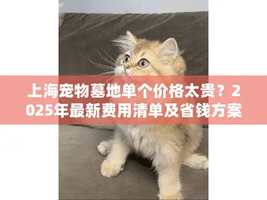 上海宠物墓地单个价格太贵？2025年最新费用清单及省钱方案