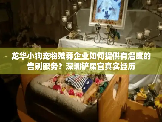 龙华小狗宠物殡葬企业如何提供有温度的告别服务？深圳铲屎官真实经历