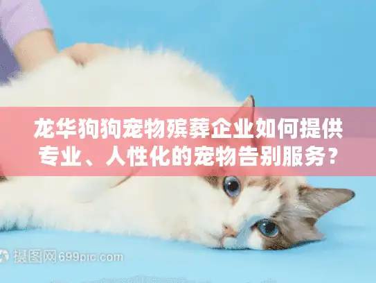 龙华狗狗宠物殡葬企业如何提供专业、人性化的宠物告别服务？