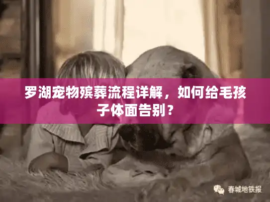 罗湖宠物殡葬流程详解，如何给毛孩子体面告别？