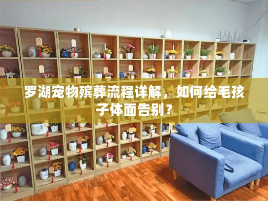 罗湖宠物殡葬流程详解，如何给毛孩子体面告别？