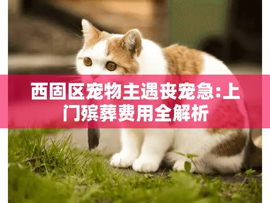 西固区宠物主遇丧宠急:上门殡葬费用全解析