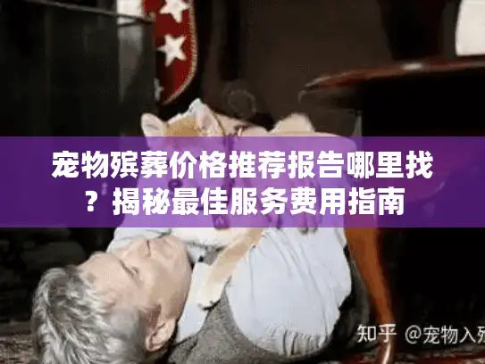 宠物殡葬价格推荐报告哪里找？揭秘最佳服务费用指南