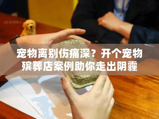 宠物离别伤痛深？开个宠物殡葬店案例助你走出阴霾