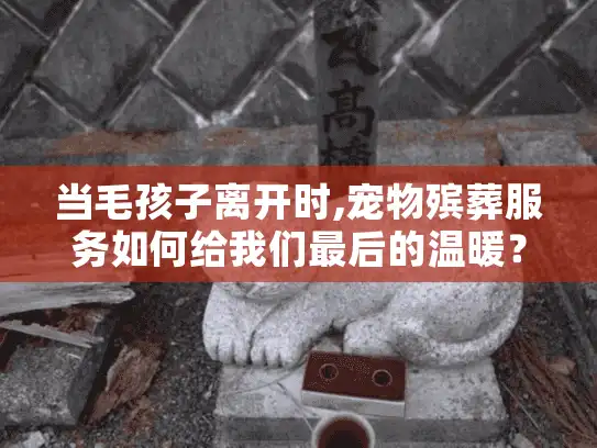 当毛孩子离开时,宠物殡葬服务如何给我们最后的温暖？
