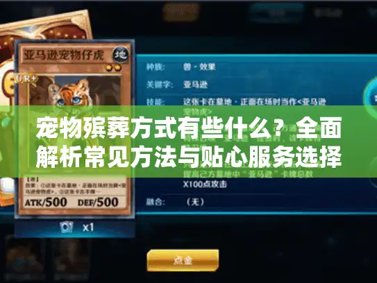 宠物殡葬方式有些什么？全面解析常见方法与贴心服务选择