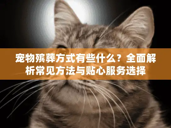 宠物殡葬方式有些什么？全面解析常见方法与贴心服务选择