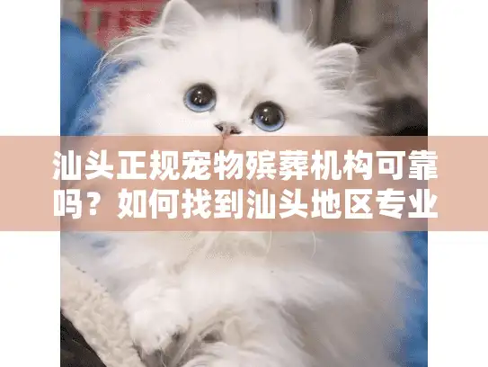 汕头正规宠物殡葬机构可靠吗？如何找到汕头地区专业的宠物身后服务？