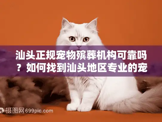 汕头正规宠物殡葬机构可靠吗？如何找到汕头地区专业的宠物身后服务？