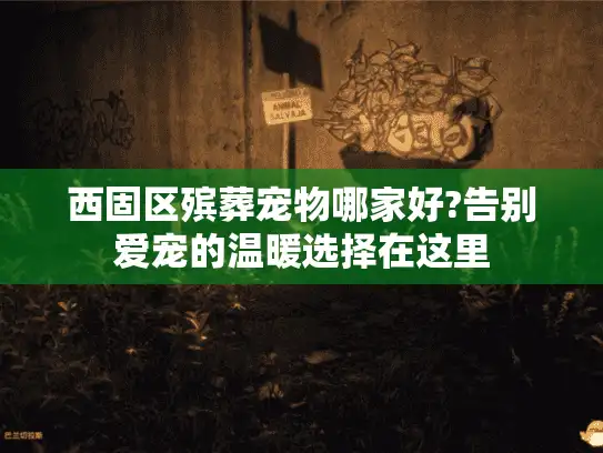 西固区殡葬宠物哪家好?告别爱宠的温暖选择在这里