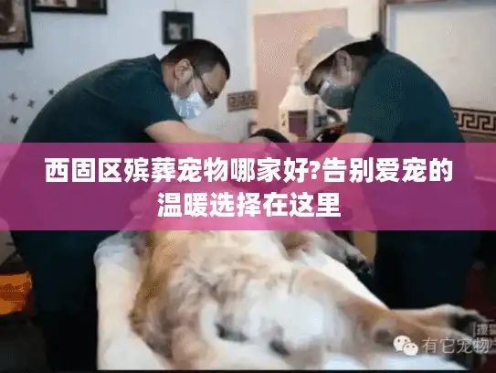 西固区殡葬宠物哪家好?告别爱宠的温暖选择在这里