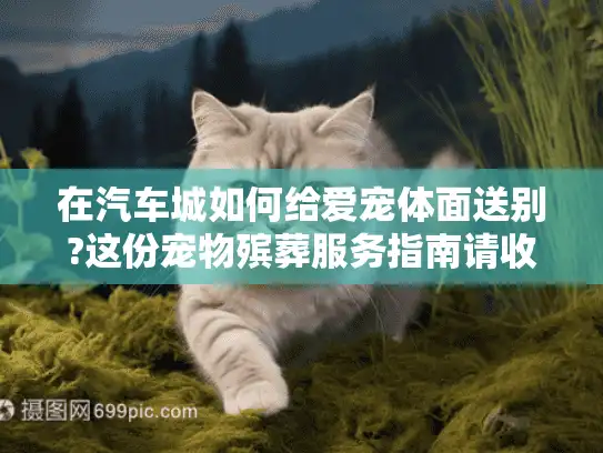 在汽车城如何给爱宠体面送别?这份宠物殡葬服务指南请收好
