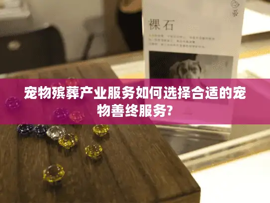 宠物殡葬产业服务如何选择合适的宠物善终服务?