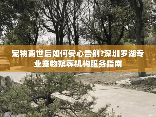 宠物离世后如何安心告别?深圳罗湖专业宠物殡葬机构服务指南