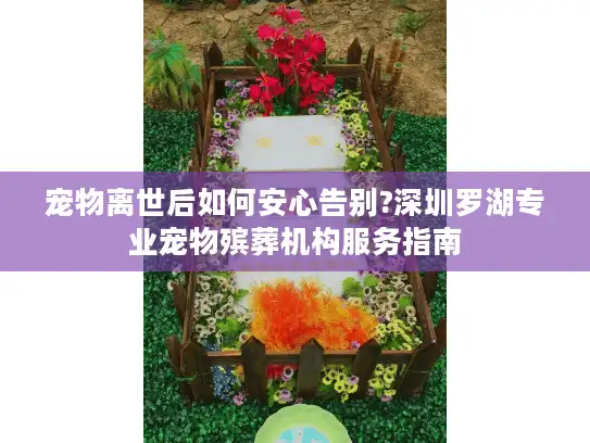 宠物离世后如何安心告别?深圳罗湖专业宠物殡葬机构服务指南
