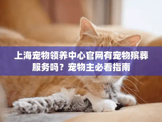上海宠物领养中心官网有宠物殡葬服务吗？宠物主必看指南