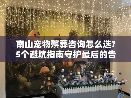 南山宠物殡葬咨询怎么选?5个避坑指南守护最后的告别