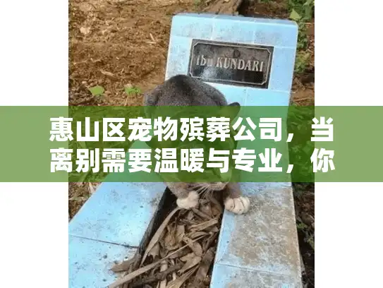 惠山区宠物殡葬公司，当离别需要温暖与专业，你的安心之选
