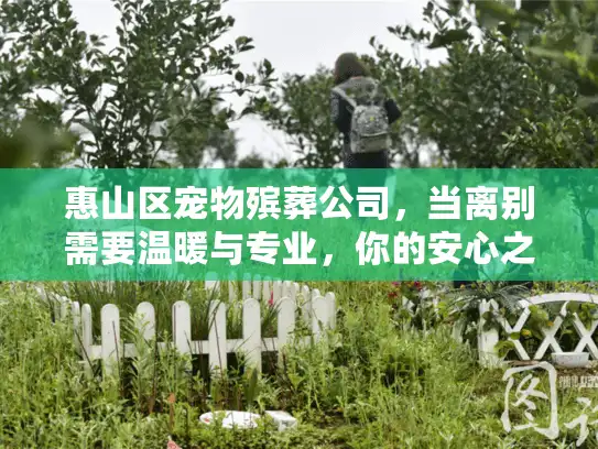 惠山区宠物殡葬公司，当离别需要温暖与专业，你的安心之选