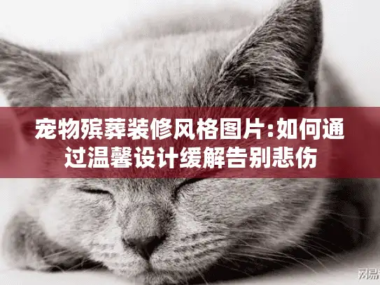 宠物殡葬装修风格图片:如何通过温馨设计缓解告别悲伤