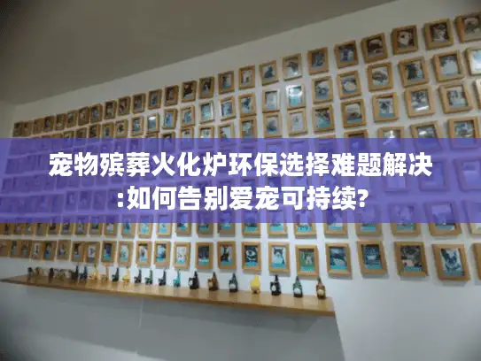 宠物殡葬火化炉环保选择难题解决:如何告别爱宠可持续?