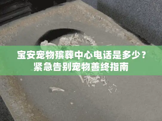 宝安宠物殡葬中心电话是多少？紧急告别宠物善终指南