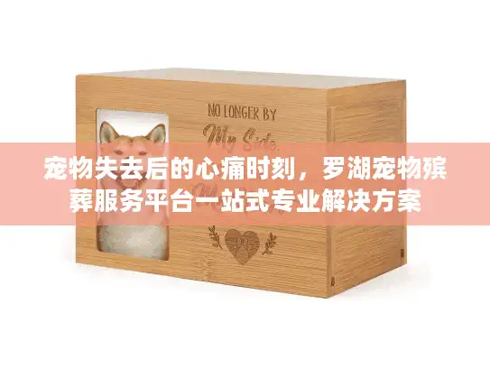 宠物失去后的心痛时刻，罗湖宠物殡葬服务平台一站式专业解决方案