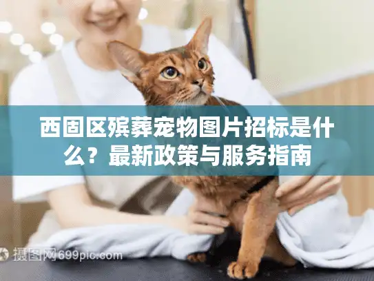 西固区殡葬宠物图片招标是什么？最新政策与服务指南